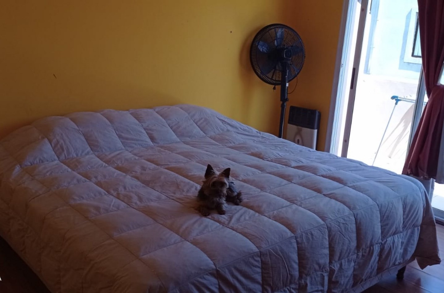 DUPLEX - CASA EN COMPLEJO "LOS ARBOLITOS" - San Miguel