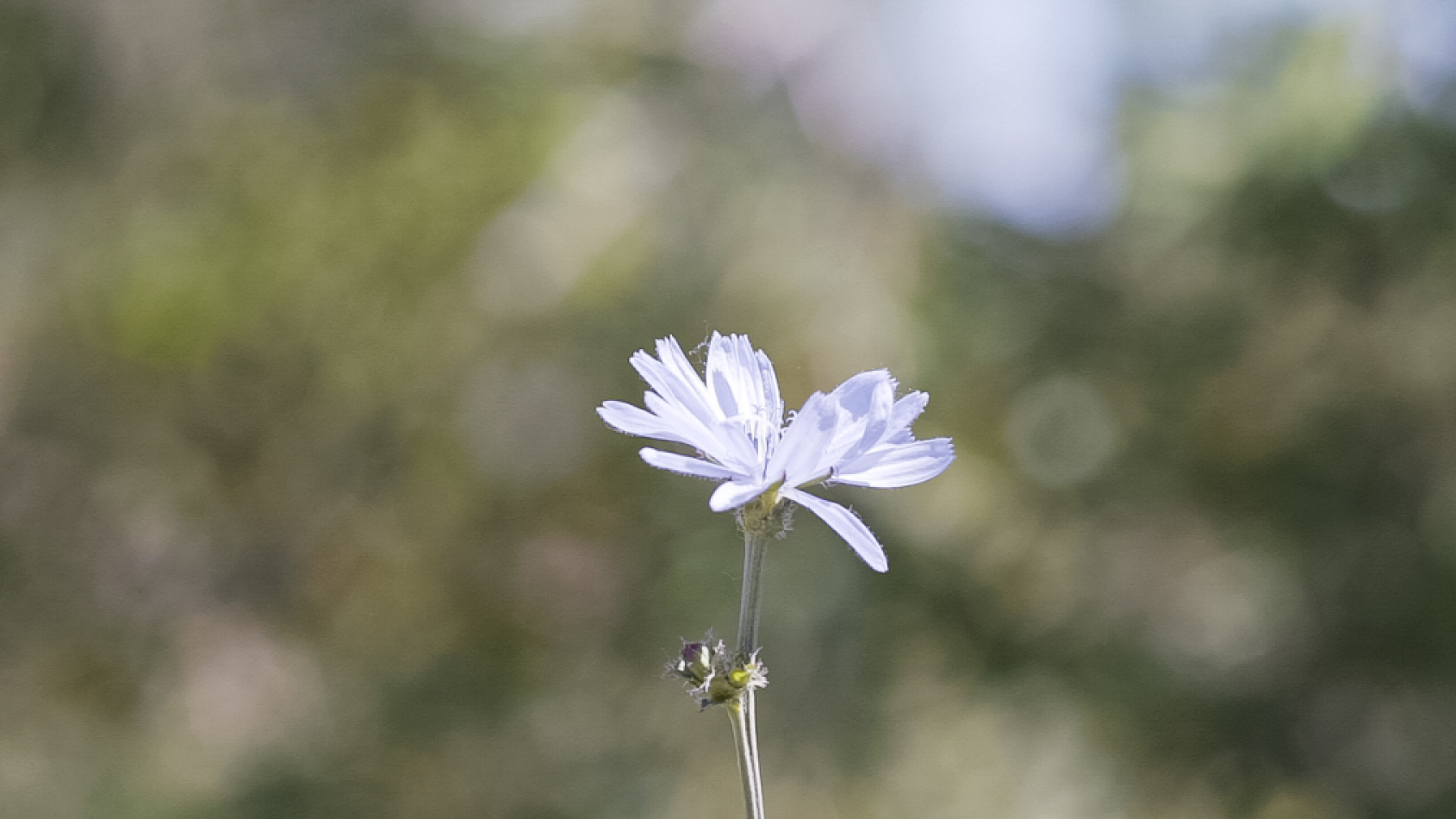 LOTE EN BARRIO PARQUE ALTOS DE GARIN - GARIN - Belen de Escobar