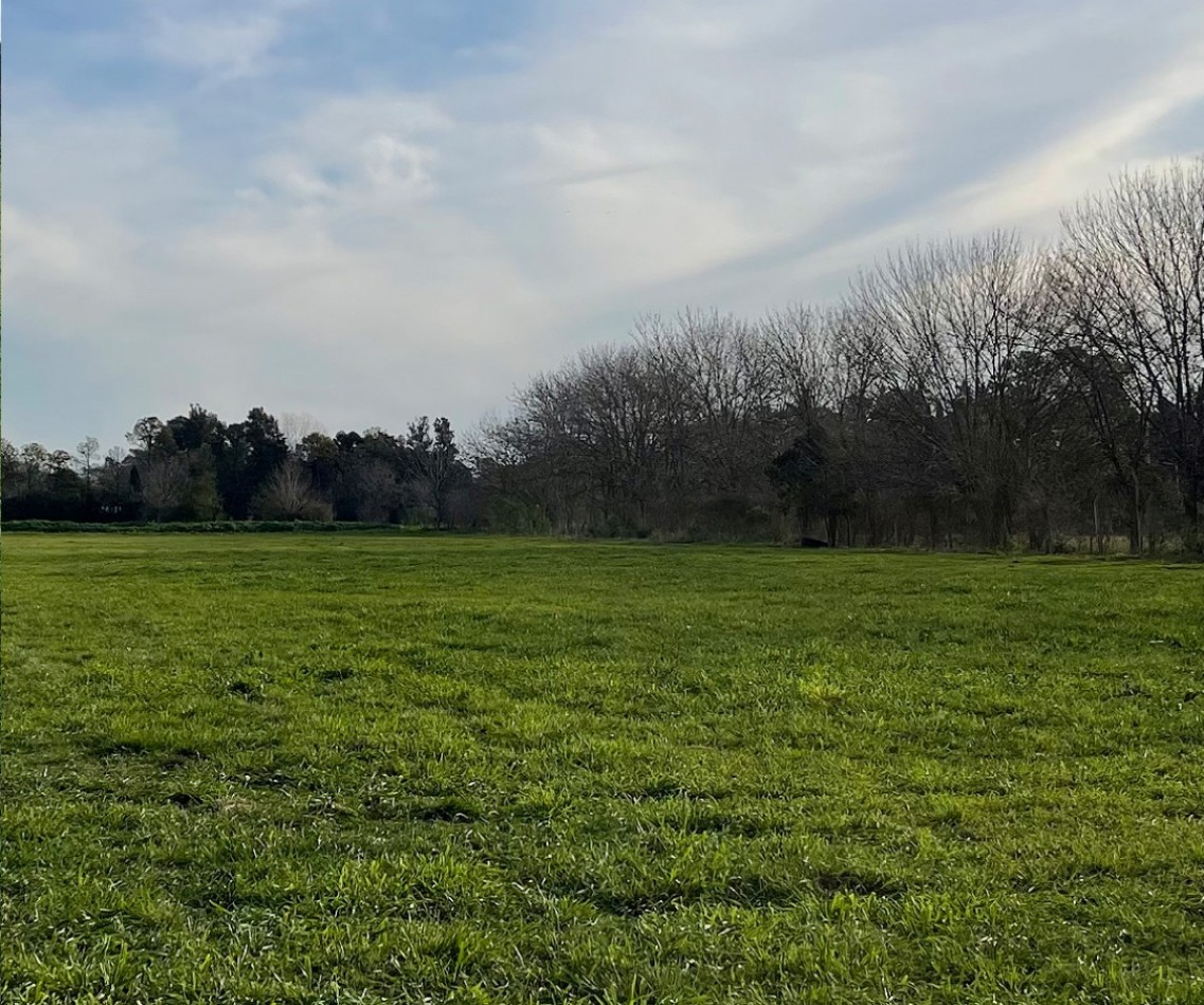 LOTES EN VENTA - "BARRIO SANTA MARIA I" - VILLA ASTOLFI, PILAR