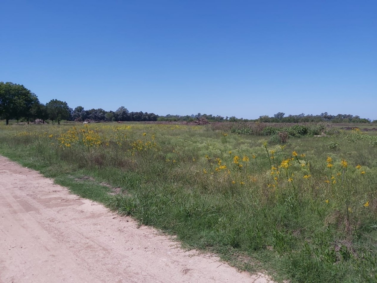 LOTE EN BARRIO ALTOS EL OMBU - LOS CARDALES - PARTIDO DE EXALTACION DE LA CRUZ