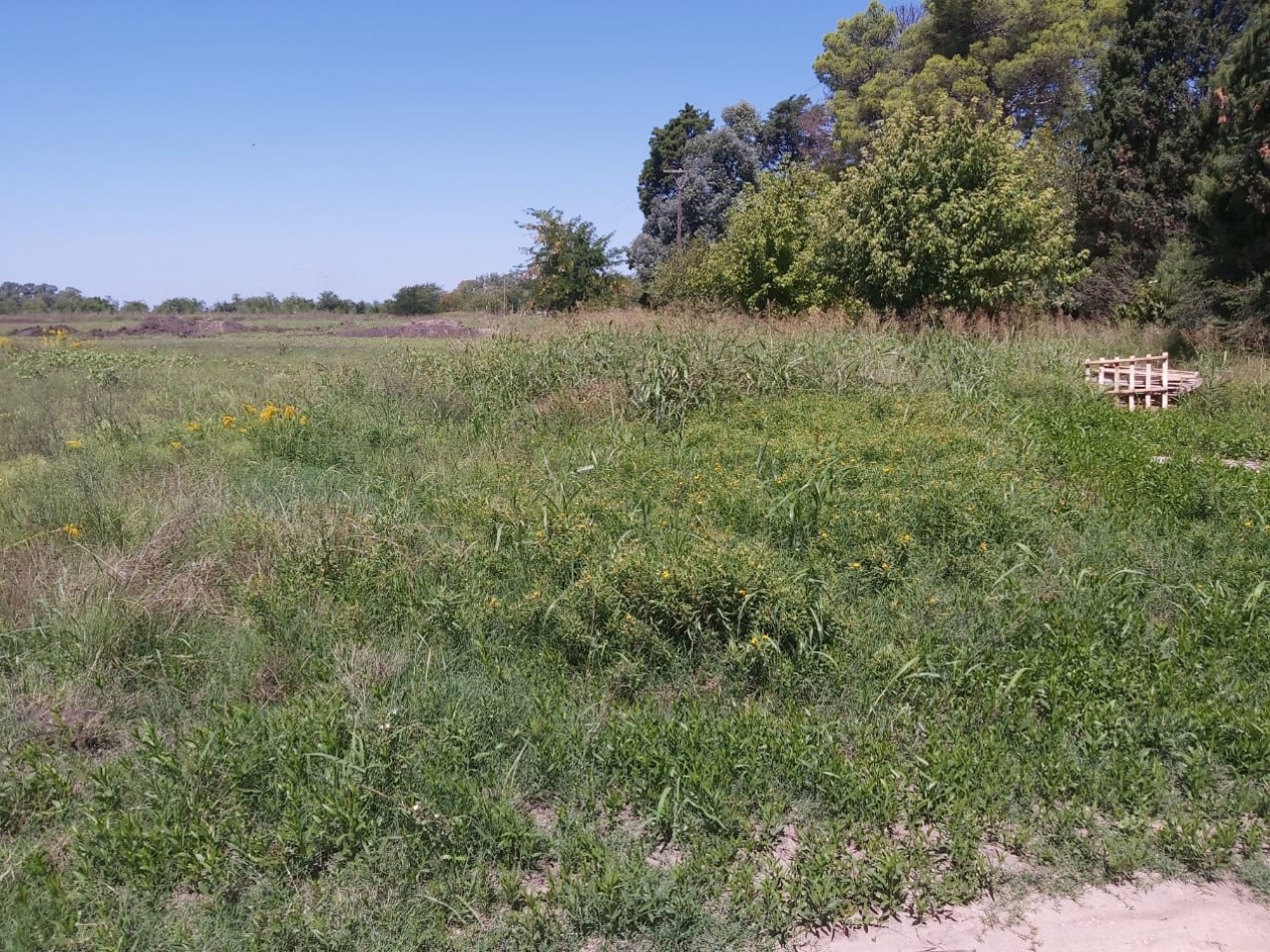 LOTE EN BARRIO ALTOS EL OMBU - LOS CARDALES - PARTIDO DE EXALTACION DE LA CRUZ