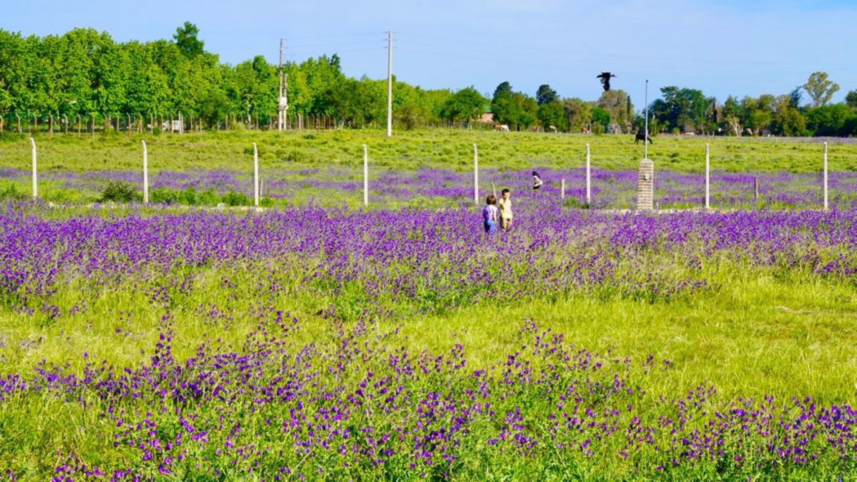 LOTES EN BARRIO SEMI CERRADO LOMAS DE MANZANARES - PARTIDO DE PILAR - ESCRITURACION INMEDIATA