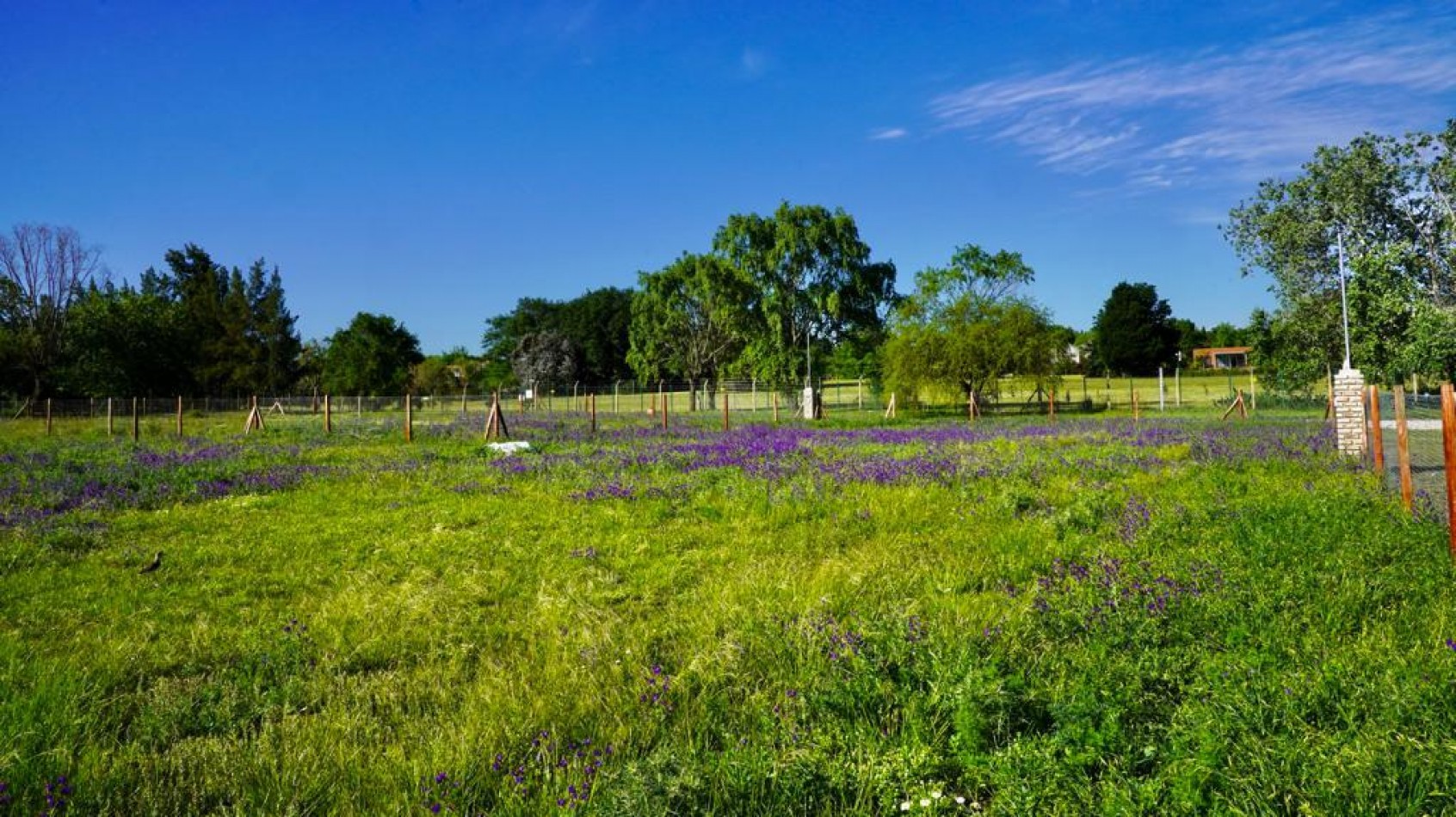 LOTES EN BARRIO SEMI CERRADO LOMAS DE MANZANARES - PARTIDO DE PILAR - ESCRITURACION INMEDIATA