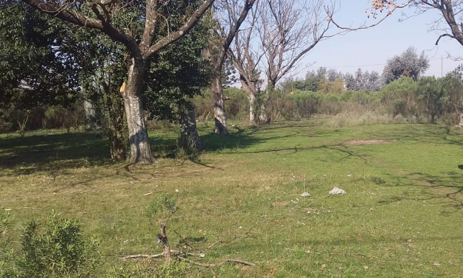 VENTA DE LOTE 750M2 PILAR.