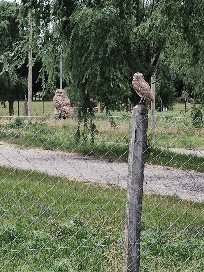 LOTES EN BARRIO SEMI CERRADO LOMAS DE MANZANARES - PARTIDO DE PILAR - ESCRITURACION INMEDIATA