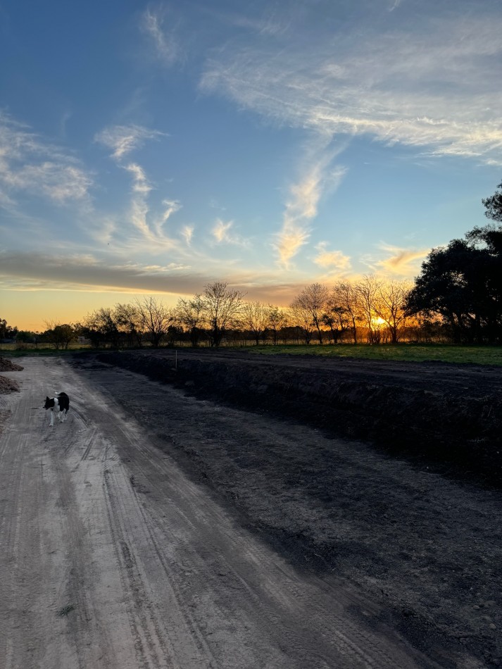 LOTES - "BARRIO SAKURA IV" - SAKURA, EXALTACION DE LA CRUZ - PREVENTA