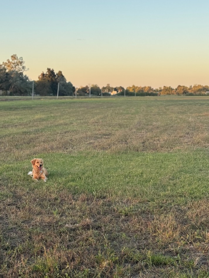 LOTES - "BARRIO SAKURA IV" - SAKURA, EXALTACION DE LA CRUZ - PREVENTA