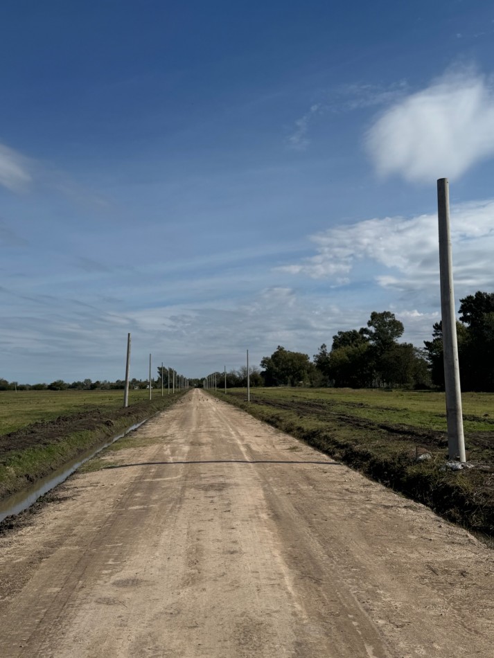 LOTES - "BARRIO SAKURA IV" - SAKURA, EXALTACION DE LA CRUZ - PREVENTA