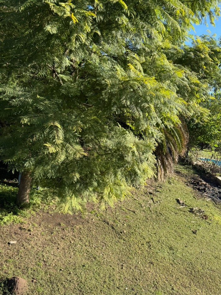 LOTES - "PUNTO MATHEU" - JOSE C. PAZ - PREVENTA EXCLUSIVA