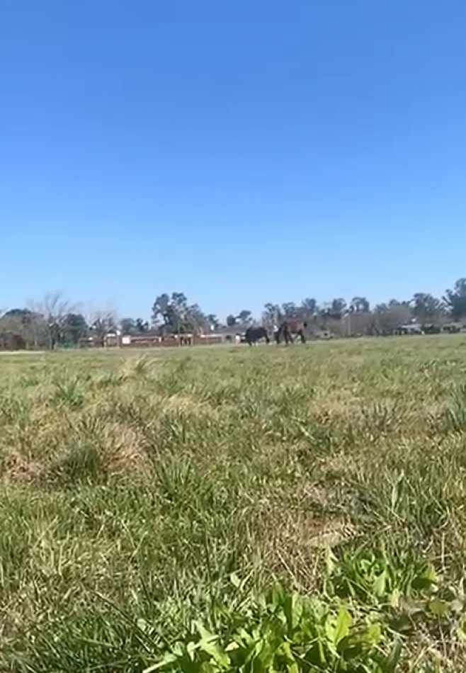Lotes en Barrio La Pradera - Mariano Acosta - Partido de Merlo