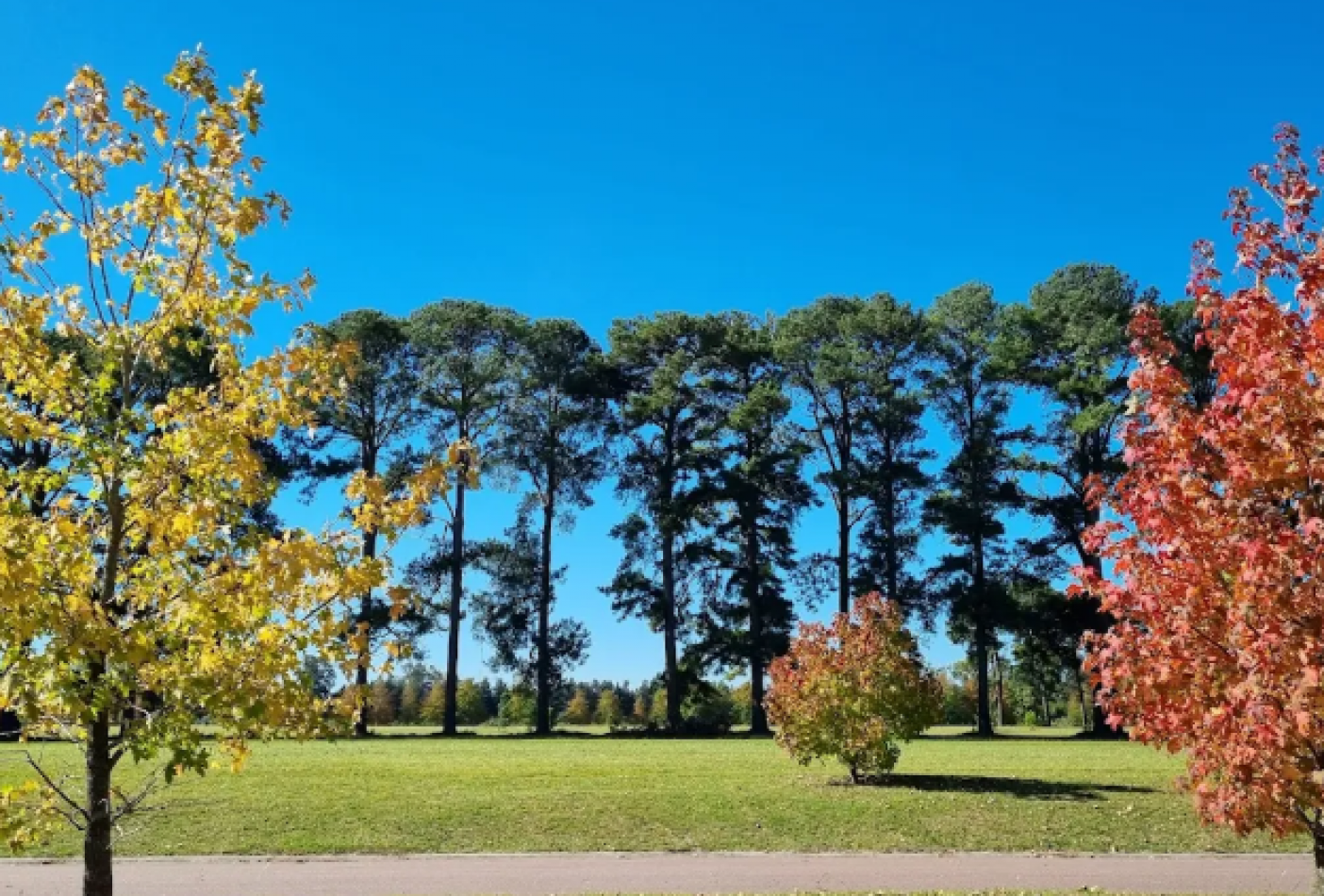 Lotes en Pinares Country Club, Exaltacion de la Cruz - Posesion y Escrituracion Inmediata