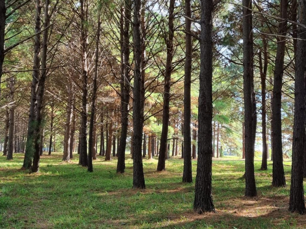 Lotes en Pinares Country Club, Exaltacion de la Cruz - Posesion y Escrituracion Inmediata