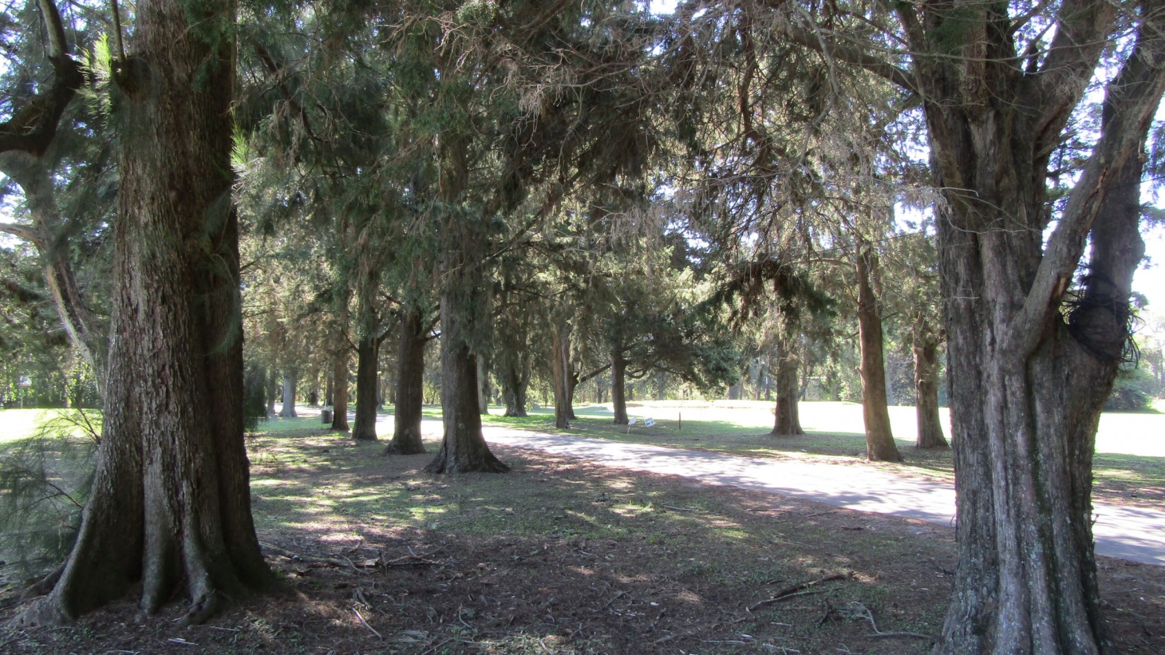 Lote en Venta en Barrio Cerrado Zarate Golf Park, Zarate