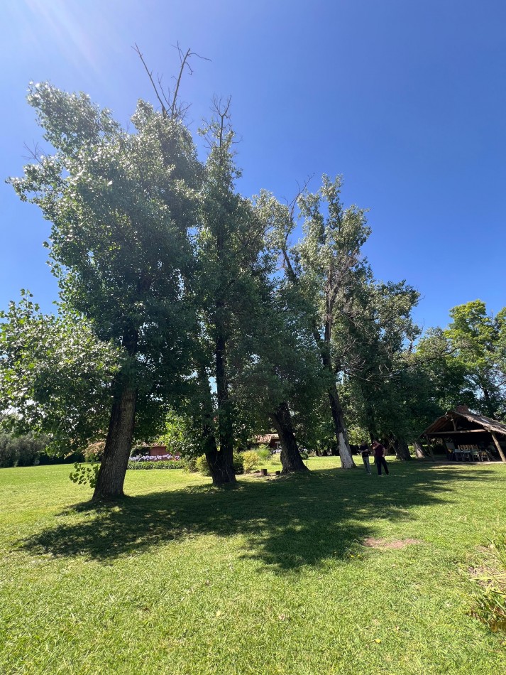 Lotes en Chacras de Teofilo - Trujui - Partido de Moreno