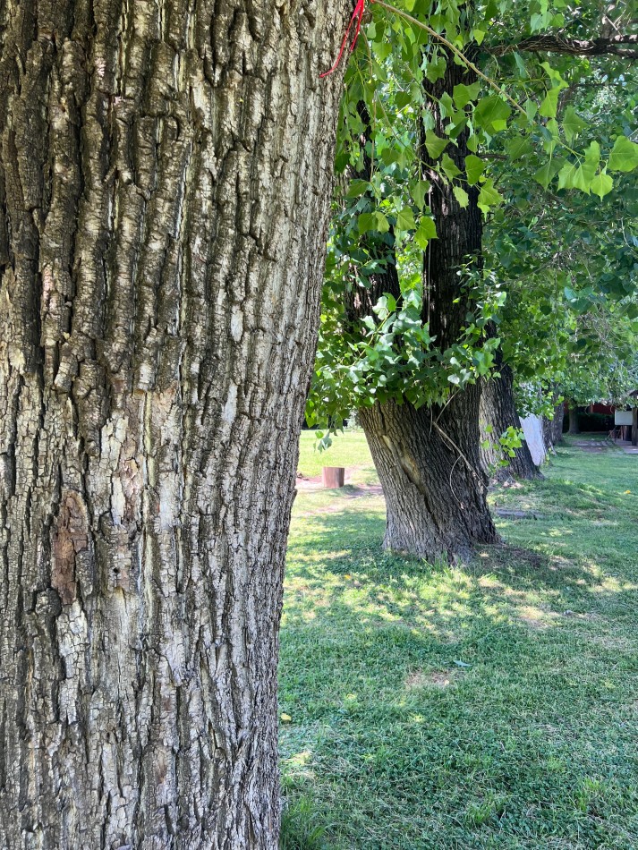 Lotes en Chacras de Teofilo - Trujui - Partido de Moreno
