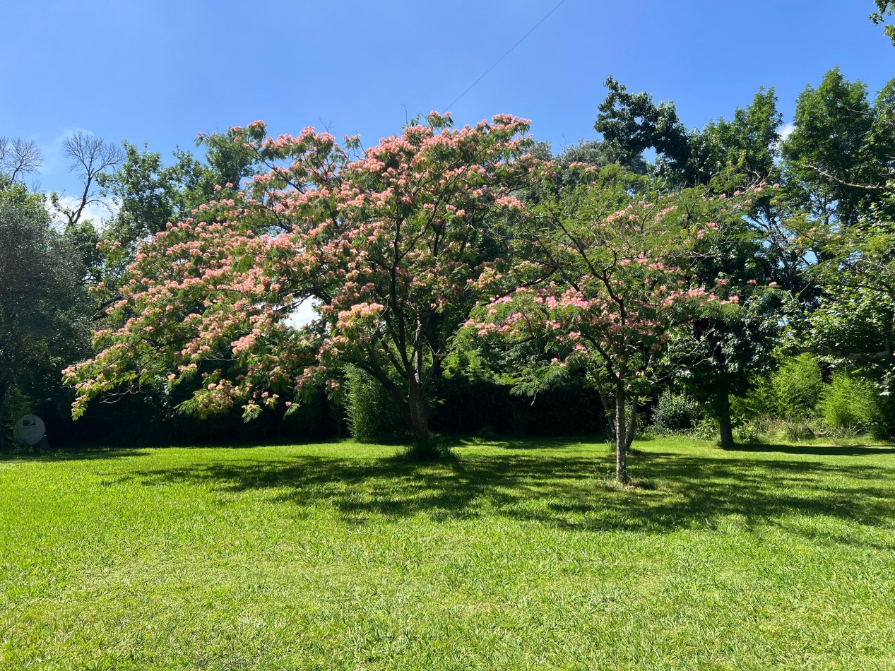 Lotes en Chacras de Teofilo - Trujui - Partido de Moreno