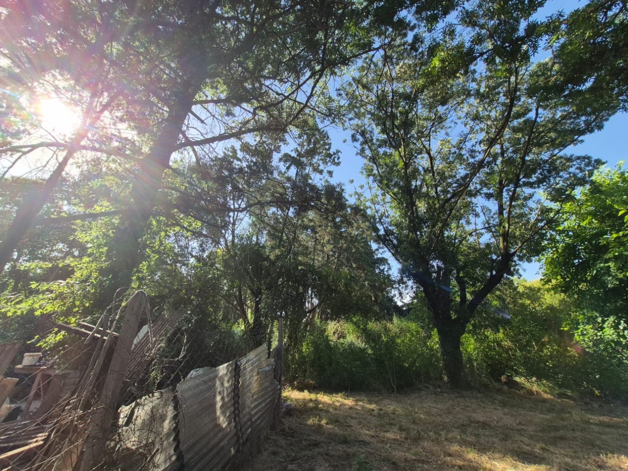 LOTE CON LOCALES EN CENTRO DE MANZANARES - OPORTUNIDAD DE INVERSION