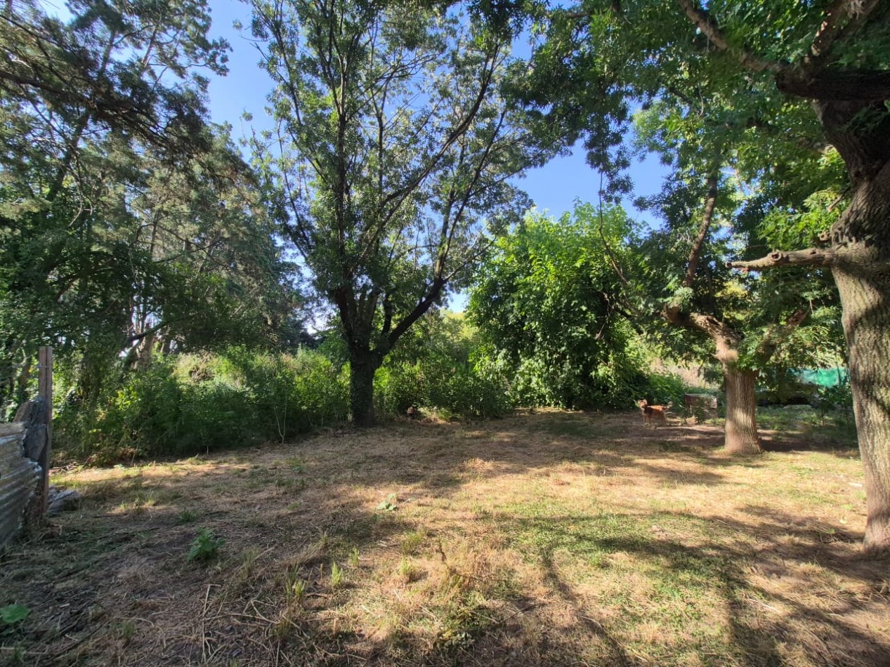 LOTE CON LOCALES EN CENTRO DE MANZANARES - OPORTUNIDAD DE INVERSION