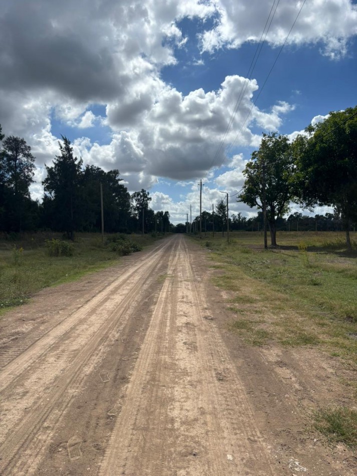 LOTE EN BARRIO ALTOS EL OMBU - LOS CARDALES - PARTIDO DE EXALTACION DE LA CRUZ