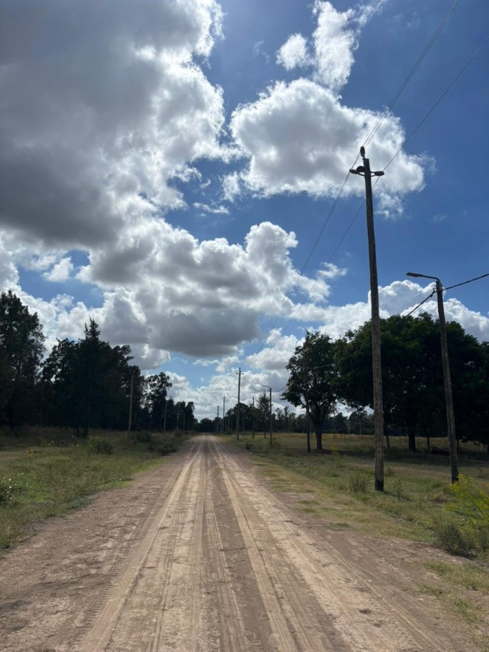 LOTE EN BARRIO ALTOS EL OMBU - LOS CARDALES - PARTIDO DE EXALTACION DE LA CRUZ