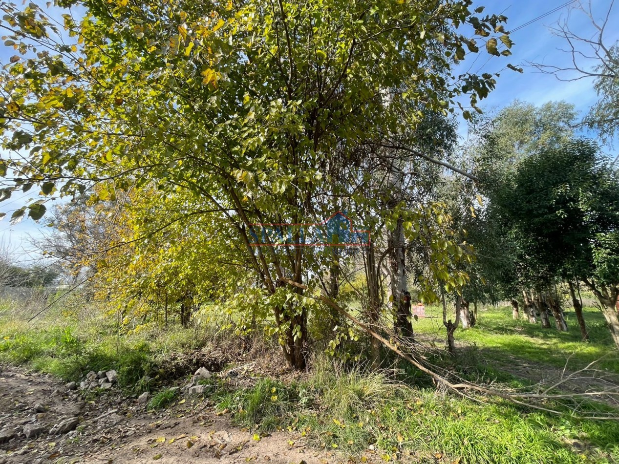 VENTA LOTE VILLA ASTOLFI PILAR  OPORTUNIDAD