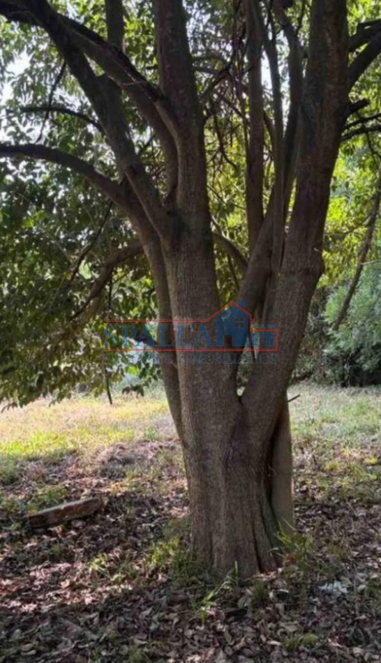 VENTA LOTE VILLA MORRA PILAR UR2 - IDEAL DESARROLLOS