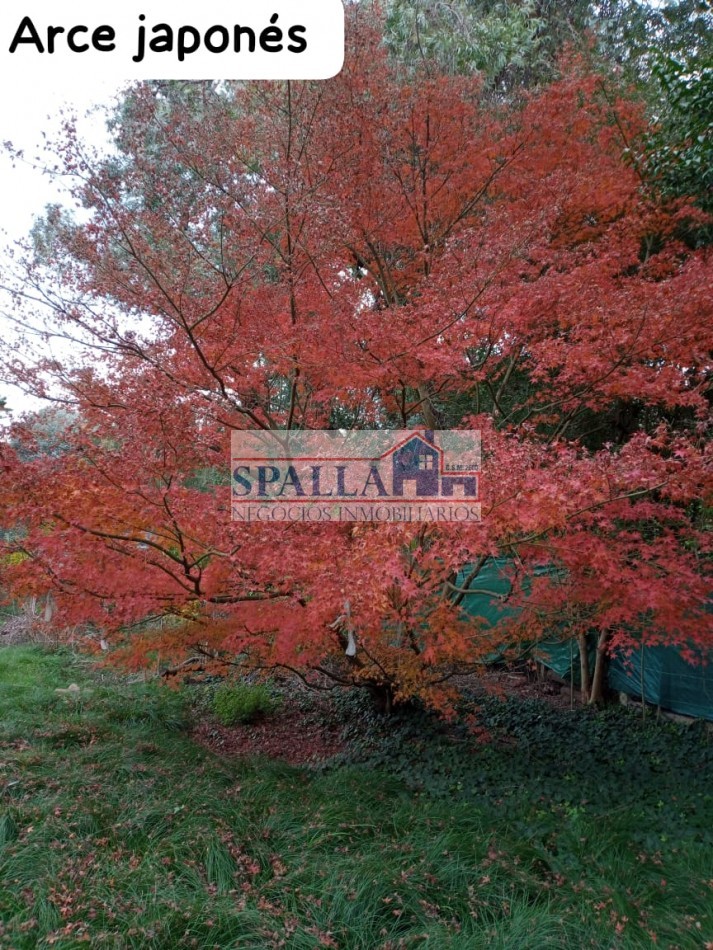 VENTA LOTE CON CASA 3 AMBIENTES IDEAL DESARROLLO EN VILLA ROSA PILAR