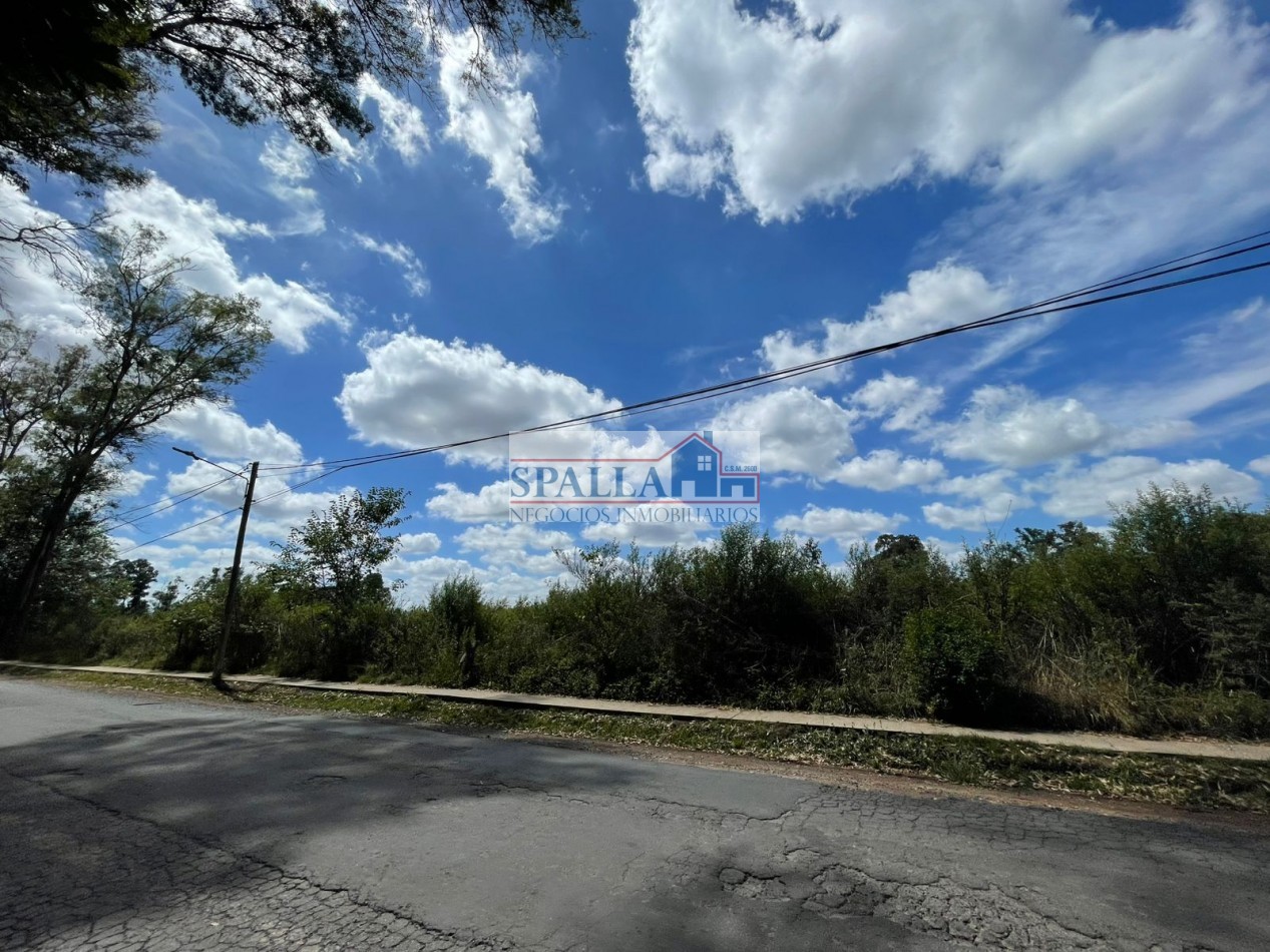 VENTA HECTAREAS EN VILLA ASTOLFI A METROS DE RUTA 25 PILAR - PARA DESARROLLOS