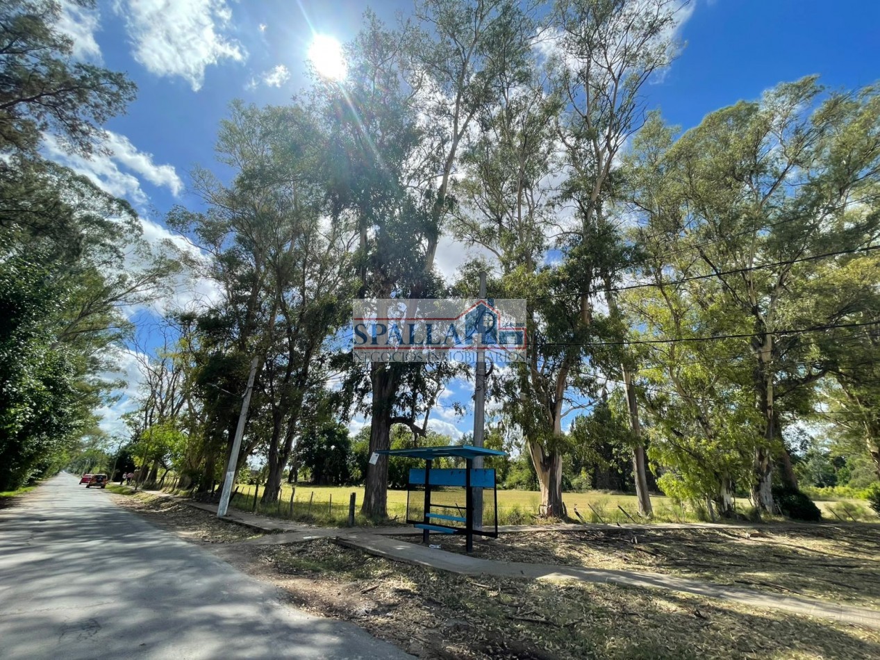 VENTA HECTAREAS EN VILLA ASTOLFI A METROS DE RUTA 25 PILAR - PARA DESARROLLOS