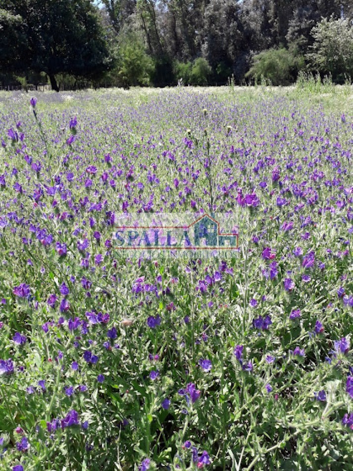 LOTE TERRENO EN VENTA EN MANZANARES - APTO CREDITO