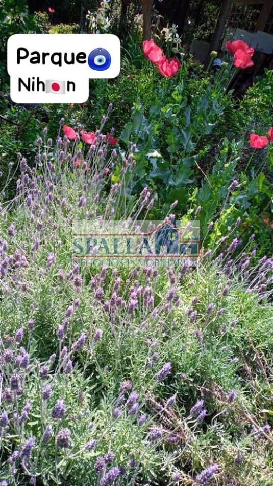 VENTA LOTE CON CASA 3 AMBIENTES IDEAL DESARROLLO EN VILLA ROSA PILAR