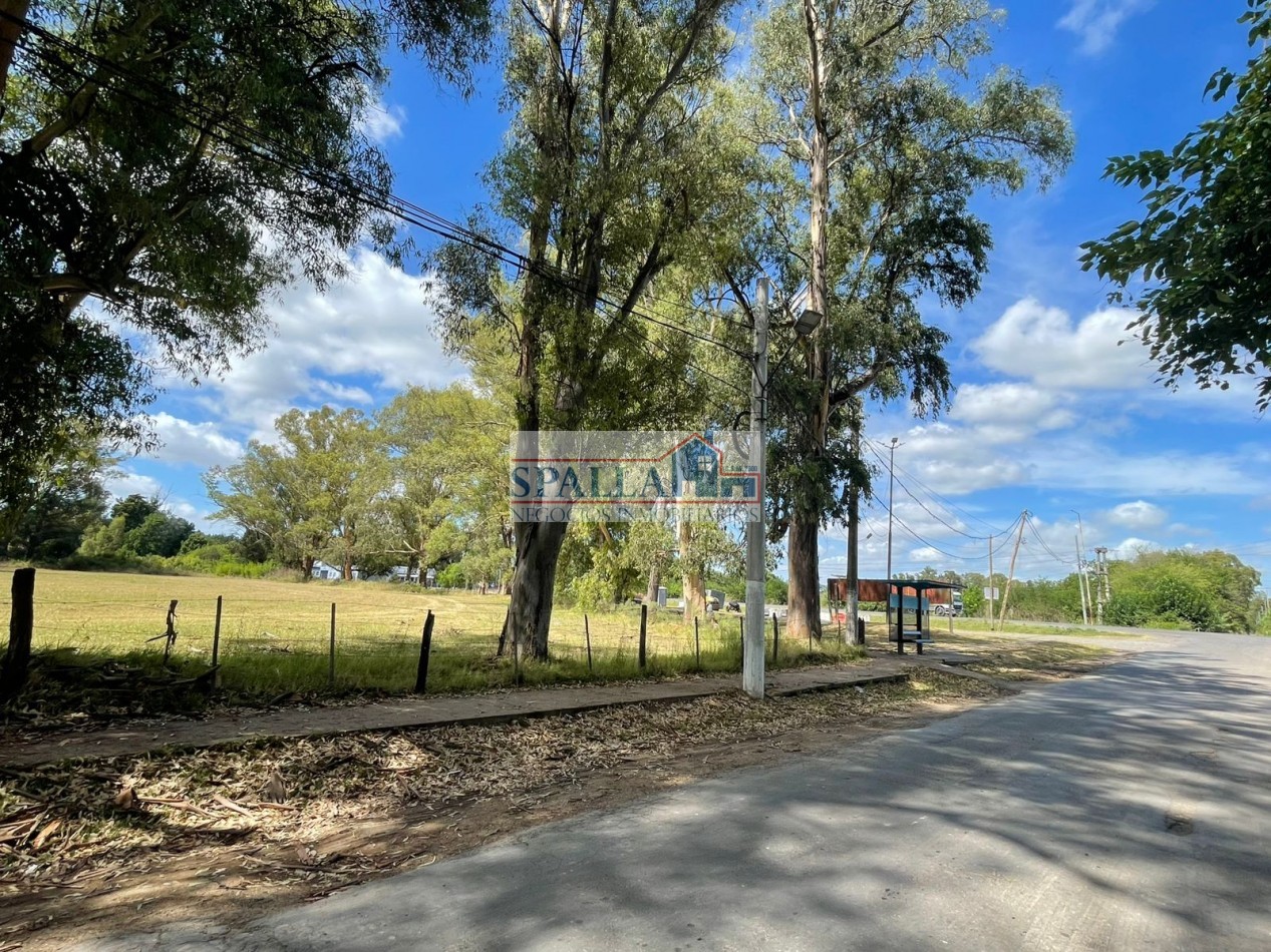 VENTA HECTAREAS EN VILLA ASTOLFI A METROS DE RUTA 25 PILAR - PARA DESARROLLOS