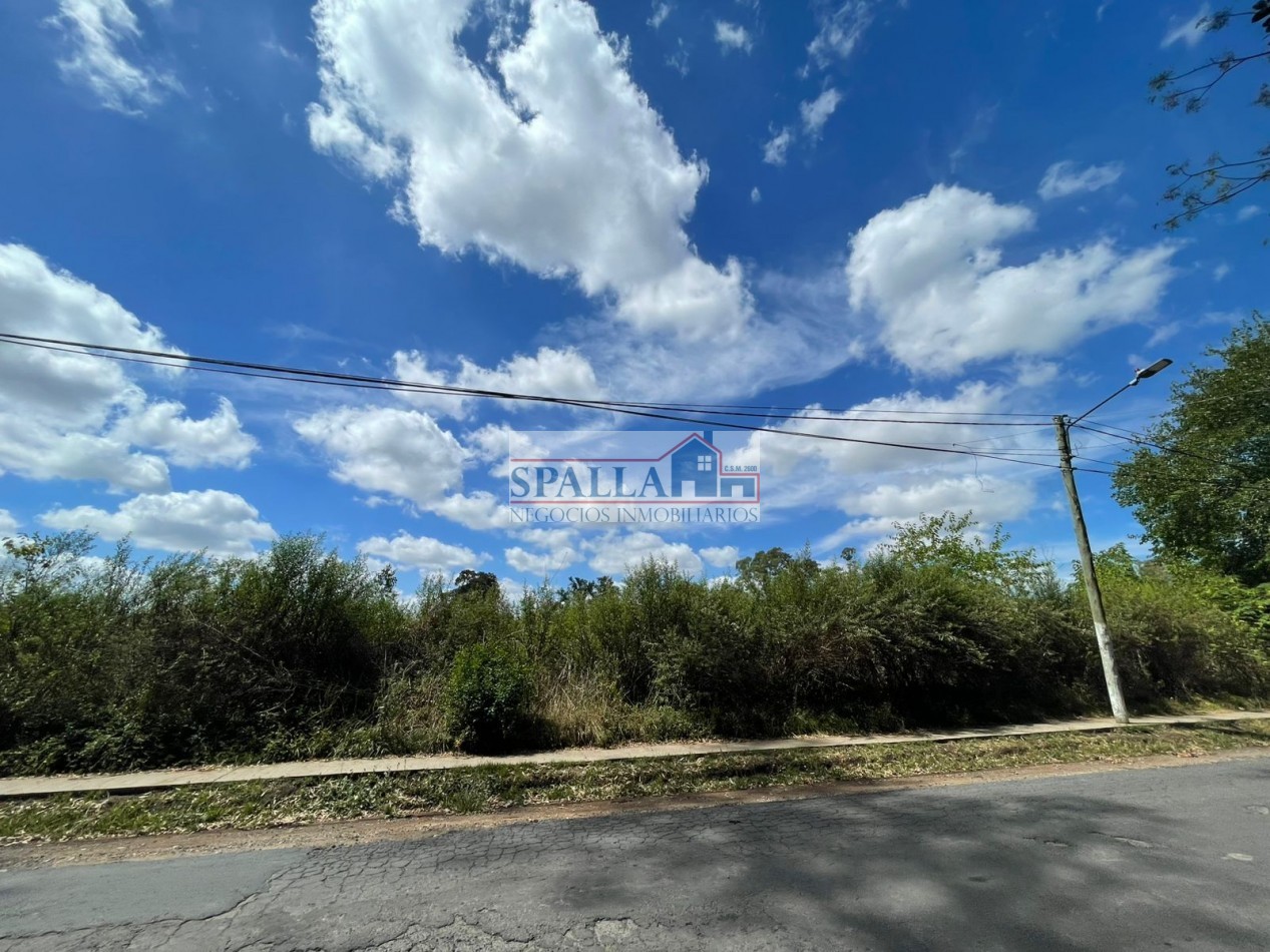 VENTA HECTAREAS EN VILLA ASTOLFI A METROS DE RUTA 25 PILAR - PARA DESARROLLOS