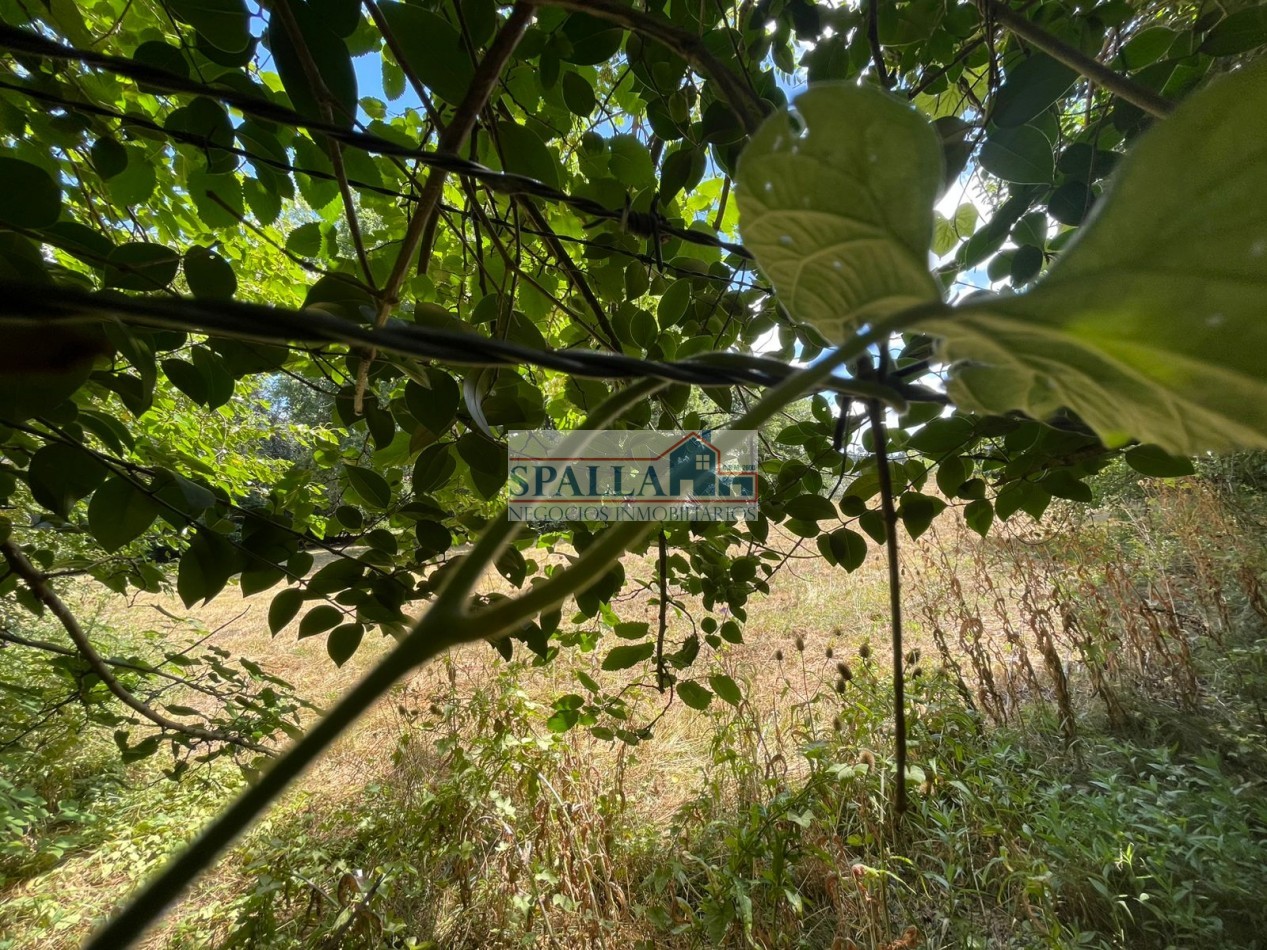 VENTA HECTAREAS EN VILLA ASTOLFI A METROS DE RUTA 25 PILAR - PARA DESARROLLOS