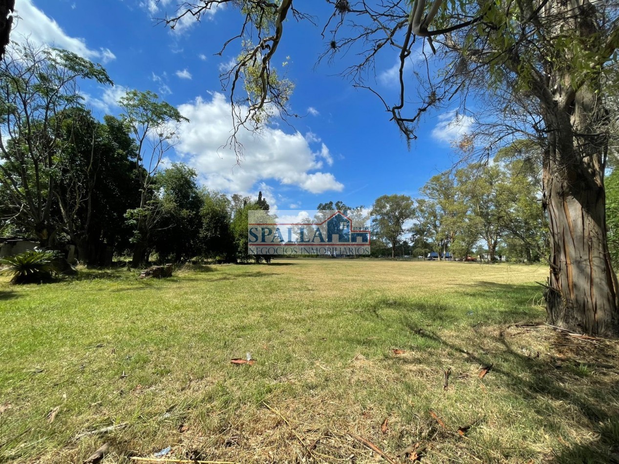 VENTA HECTAREAS EN VILLA ASTOLFI A METROS DE RUTA 25 PILAR - PARA DESARROLLOS