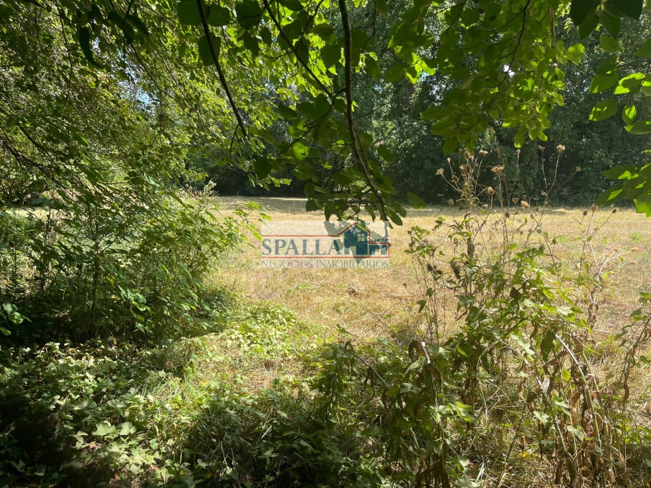 VENTA HECTAREAS EN VILLA ASTOLFI A METROS DE RUTA 25 PILAR - PARA DESARROLLOS