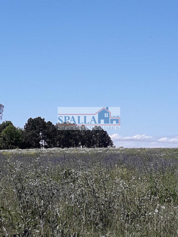 LOTE TERRENO EN VENTA EN MANZANARES - APTO CREDITO