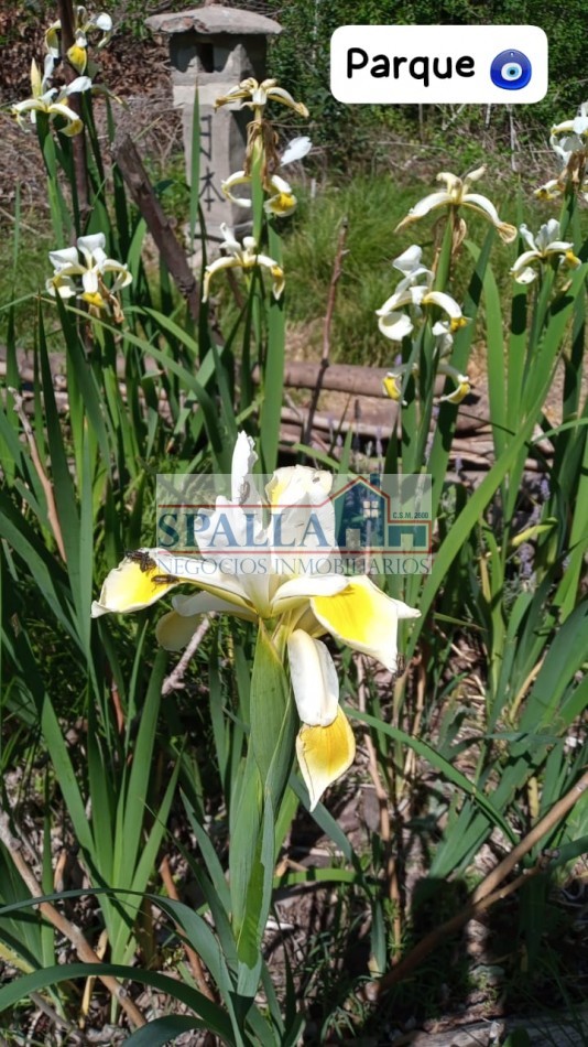 VENTA LOTE CON CASA 3 AMBIENTES IDEAL DESARROLLO EN VILLA ROSA PILAR