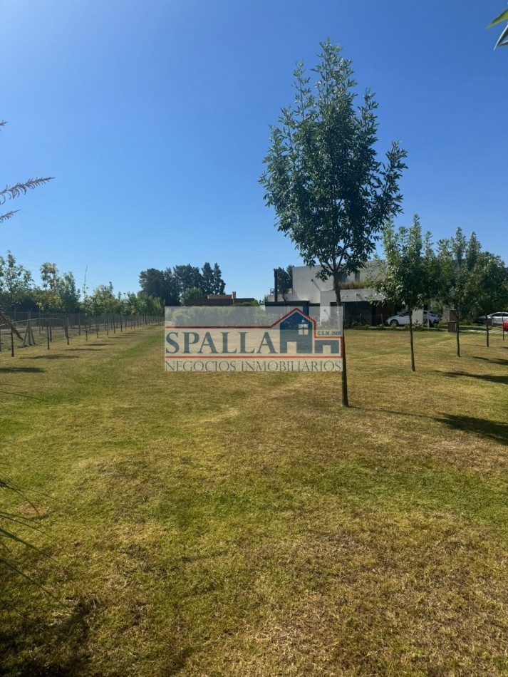 VENTA LOTE BARRIO SAN EDUARDO PILAR DEL ESTE - PERMUTA