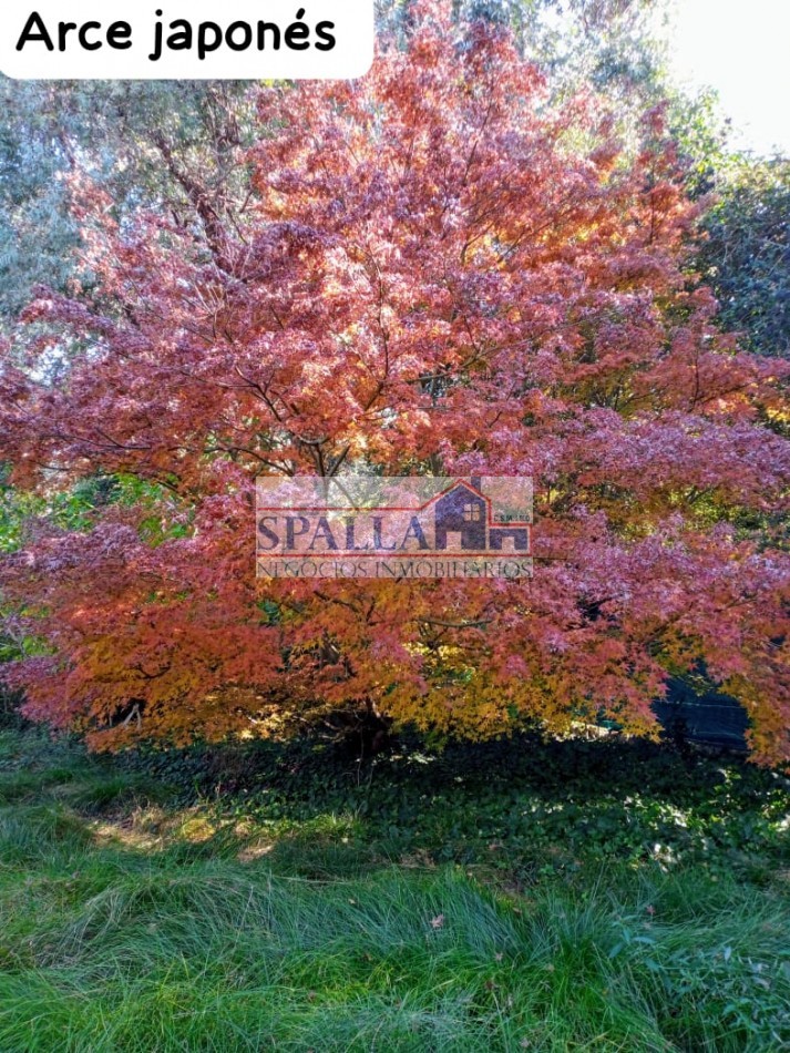 VENTA LOTE CON CASA 3 AMBIENTES IDEAL DESARROLLO EN VILLA ROSA PILAR