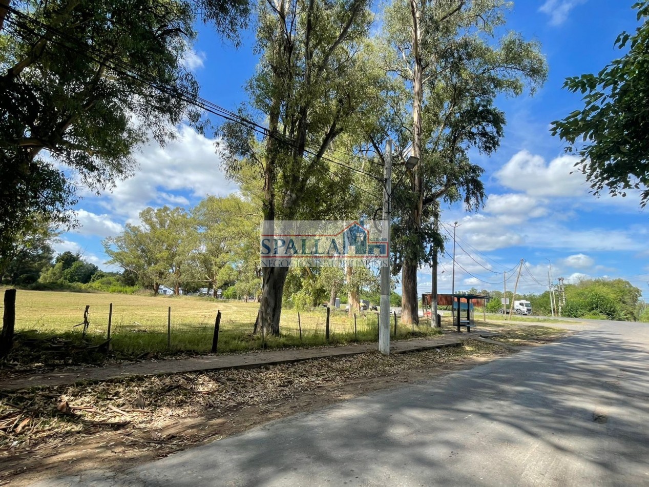 VENTA HECTAREAS EN VILLA ASTOLFI A METROS DE RUTA 25 PILAR - PARA DESARROLLOS