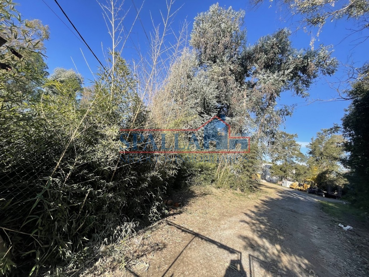 ALQUILER LOTE MULTIPLES USOS CARDALES EXALTACION DE LA CRUZ