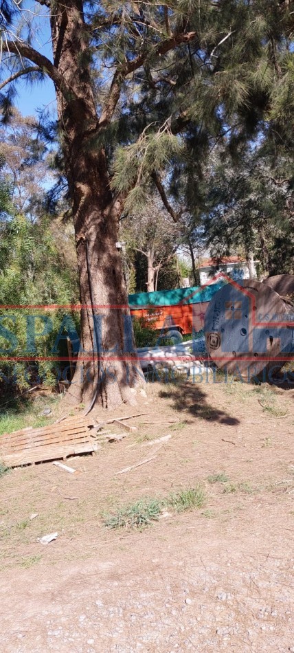 ALQUILER LOTE MULTIPLES USOS CARDALES EXALTACION DE LA CRUZ