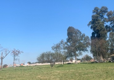 Lotes en Barrio La Pradera - Mariano Acosta - Partido de Merlo