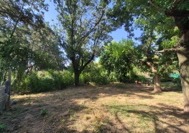 LOTE CON LOCALES EN CENTRO DE MANZANARES - OPORTUNIDAD DE INVERSION