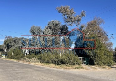 ALQUILER LOTE MULTIPLES USOS CARDALES EXALTACION DE LA CRUZ