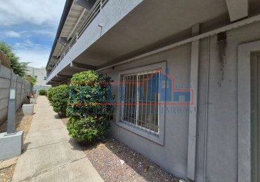 ALQUILER DEPARTAMENTO DOS AMBIENTES PLANTA BAJA PILAR CENTRO